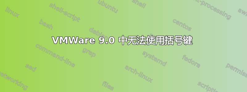 VMWare 9.0 中无法使用括号键