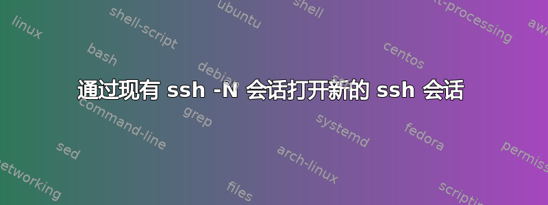 通过现有 ssh -N 会话打开新的 ssh 会话