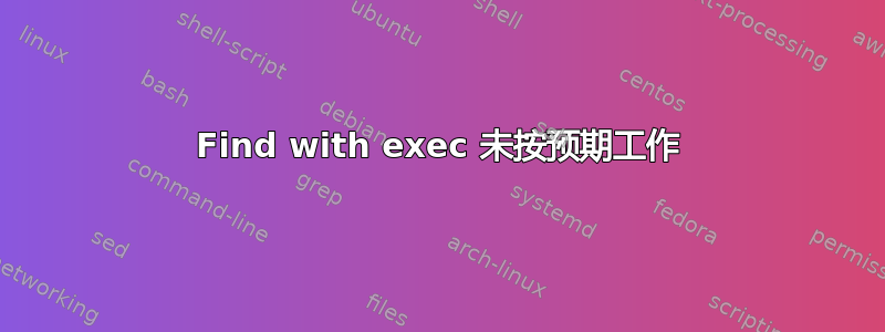 Find with exec 未按预期工作