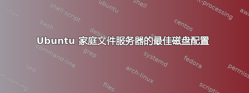 Ubuntu 家庭文件服务器的最佳磁盘配置