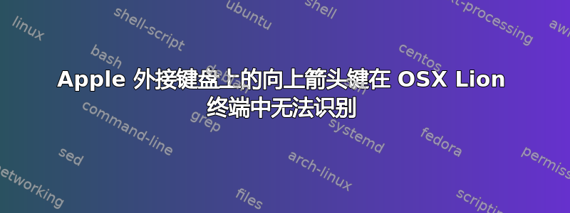 Apple 外接键盘上的向上箭头键在 OSX Lion 终端中无法识别