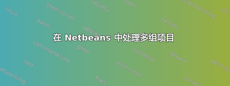 在 Netbeans 中处理多组项目