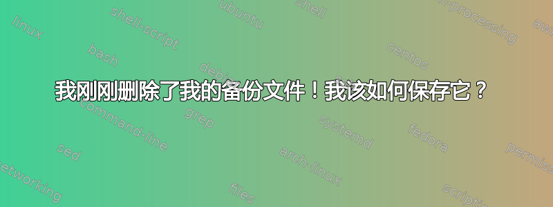 我刚刚删除了我的备份文件！我该如何保存它？