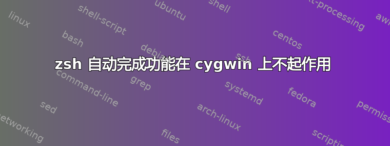 zsh 自动完成功能在 cygwin 上不起作用