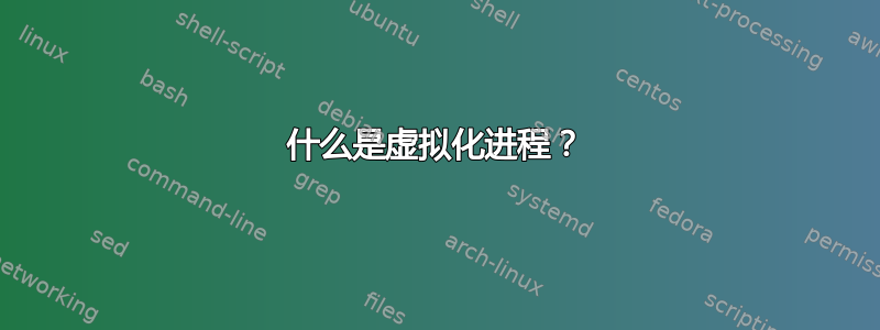 什么是虚拟化进程？