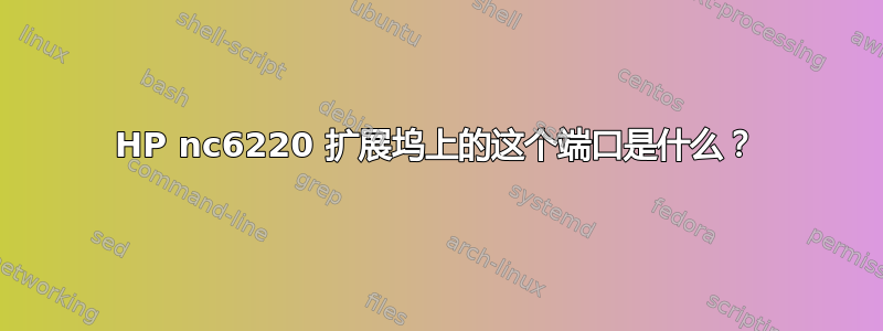 HP nc6220 扩展坞上的这个端口是什么？