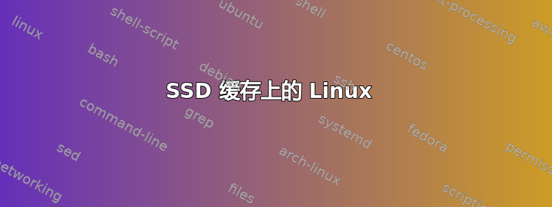 SSD 缓存上的 Linux 