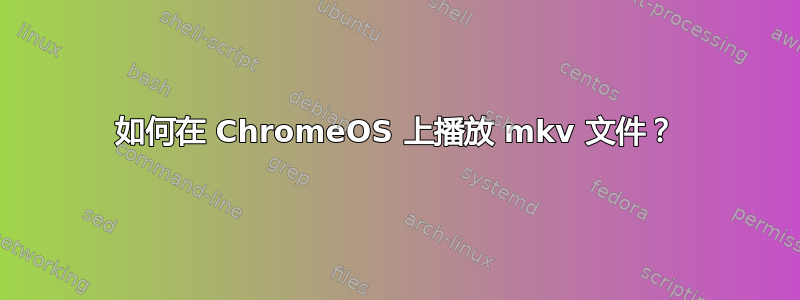 如何在 ChromeOS 上播放 mkv 文件？