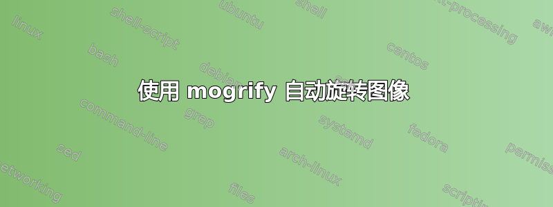 使用 mogrify 自动旋转图像