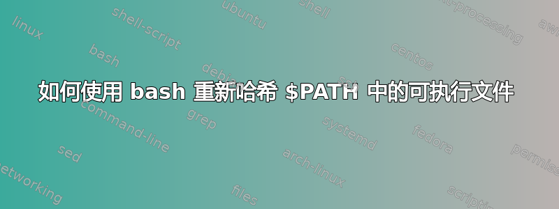 如何使用 bash 重新哈希 $PATH 中的可执行文件