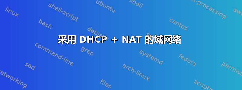 采用 DHCP + NAT 的域网络