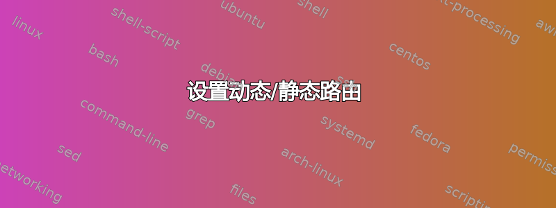 设置动态/静态路由