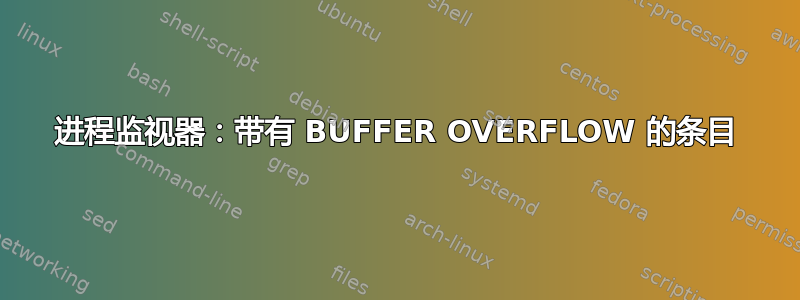 进程监视器：带有 BUFFER OVERFLOW 的条目