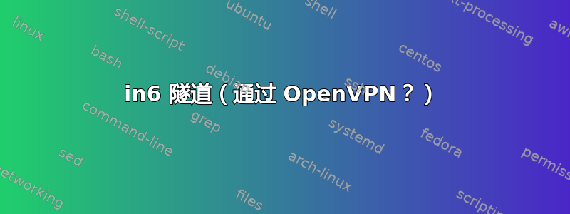 4in6 隧道（通过 OpenVPN？）