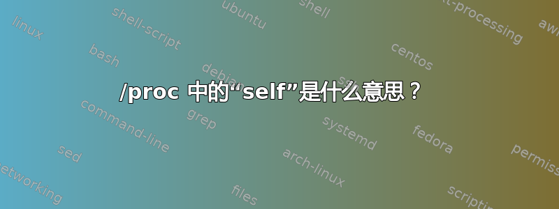 /proc 中的“self”是什么意思？ 