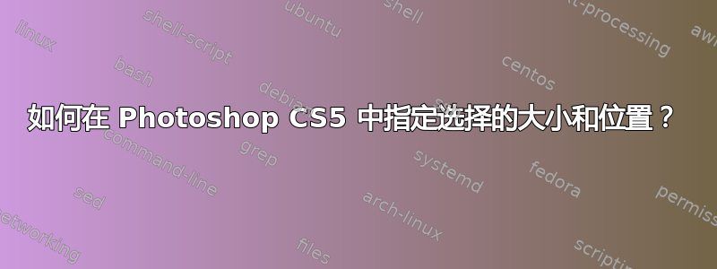 如何在 Photoshop CS5 中指定选择的大小和位置？