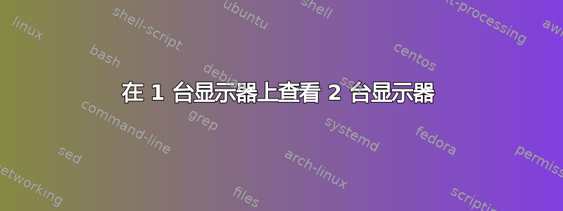 在 1 台显示器上查看 2 台显示器