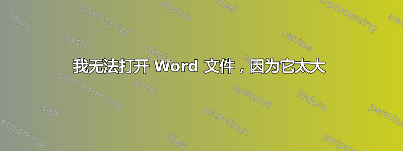 我无法打开 Word 文件，因为它太大