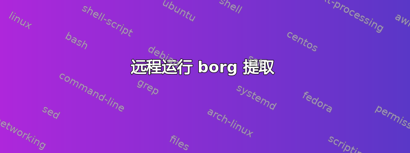 远程运行 borg 提取