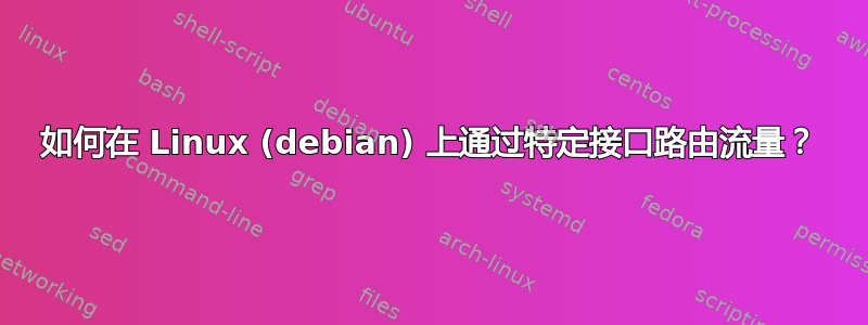 如何在 Linux (debian) 上通过特定接口路由流量？