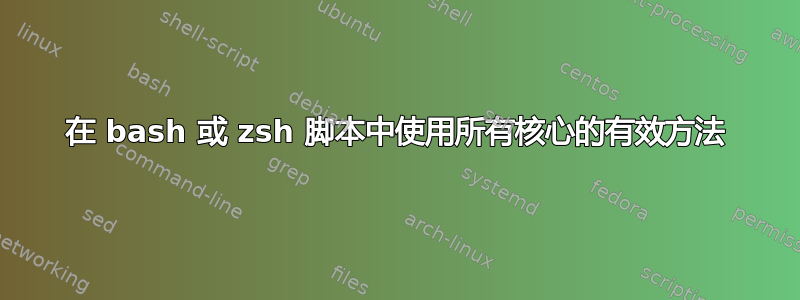 在 bash 或 zsh 脚本中使用所有核心的有效方法