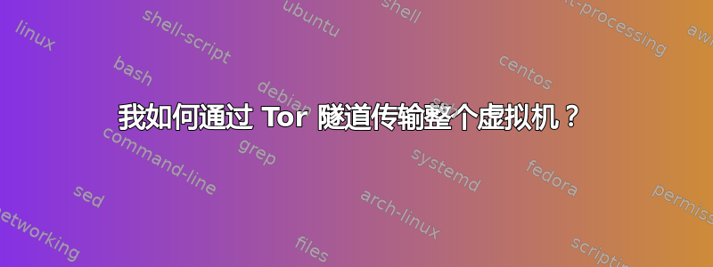 我如何通过 Tor 隧道传输整个虚拟机？