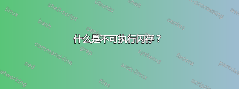 什么是不可执行闪存？