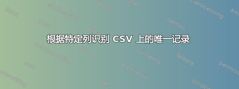 根据特定列识别 CSV 上的唯一记录