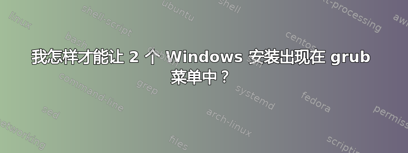 我怎样才能让 2 个 Windows 安装出现在 grub 菜单中？