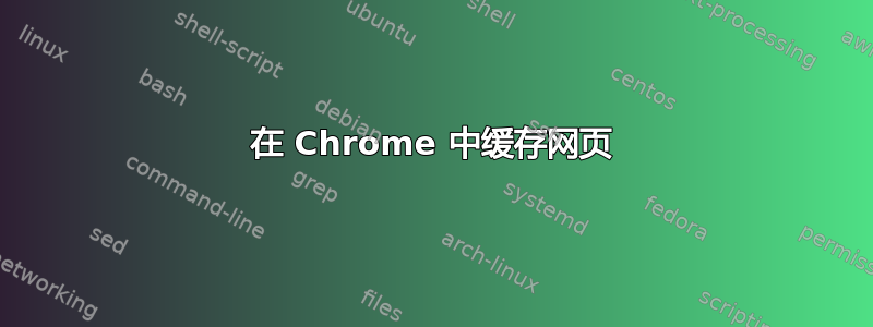 在 Chrome 中缓存网页