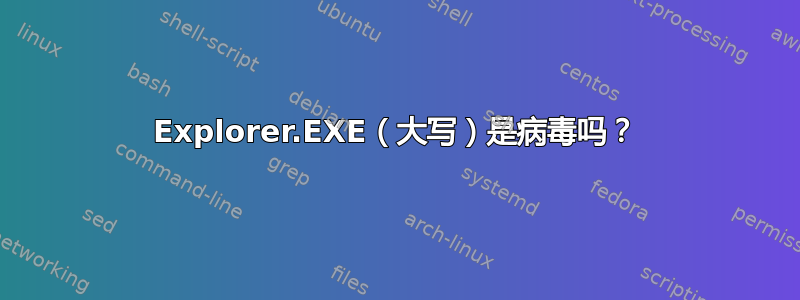 Explorer.EXE（大写）是病毒吗？