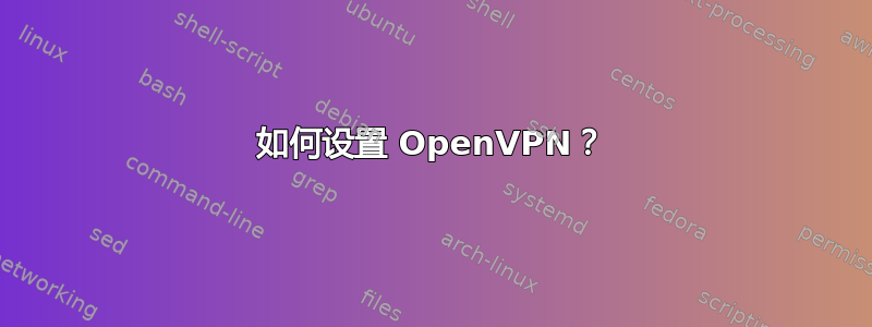 如何设置 OpenVPN？