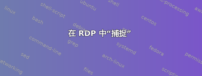 在 RDP 中“捕捉”