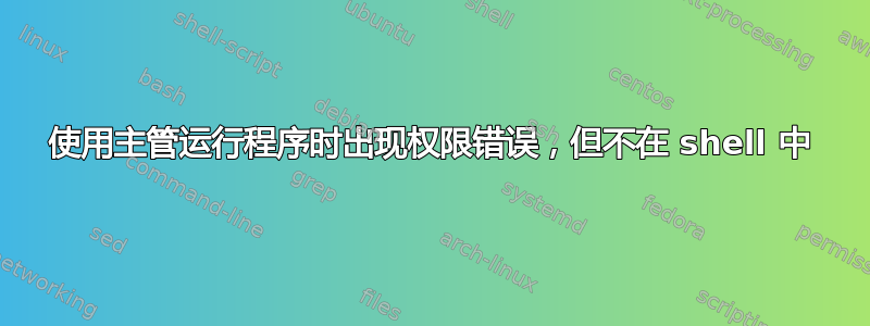 使用主管运行程序时出现权限错误，但不在 shell 中