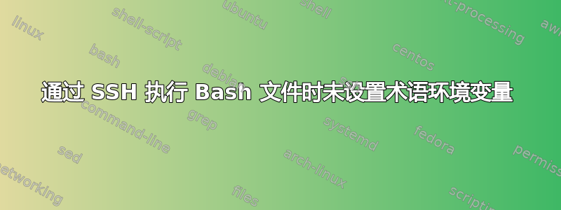 通过 SSH 执行 Bash 文件时未设置术语环境变量