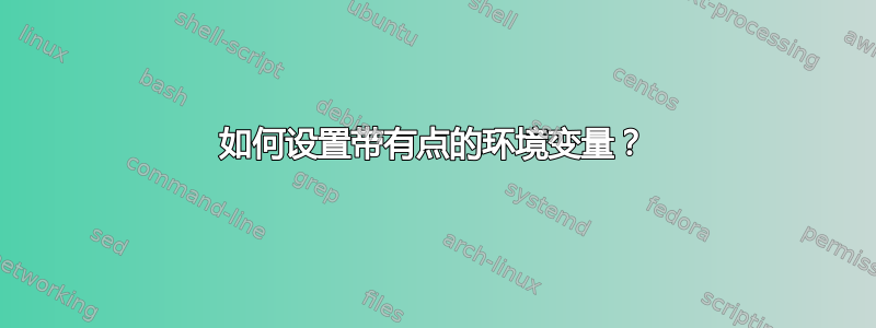 如何设置带有点的环境变量？