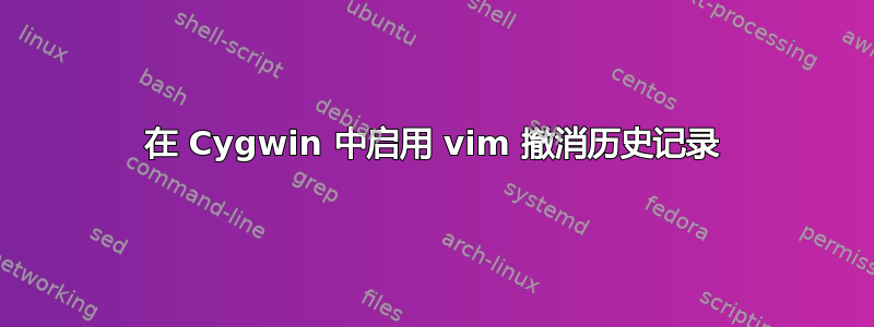 在 Cygwin 中启用 vim 撤消历史记录