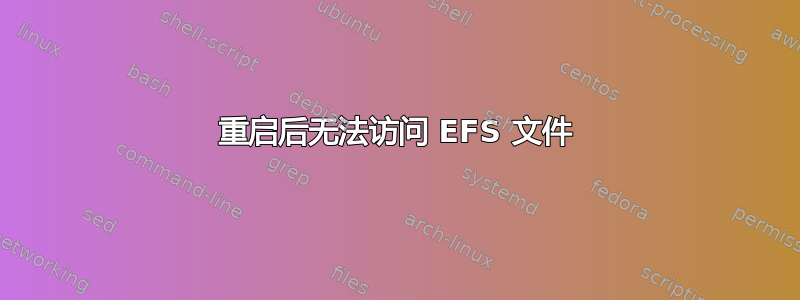 重启后无法访问 EFS 文件