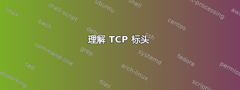 理解 TCP 标头