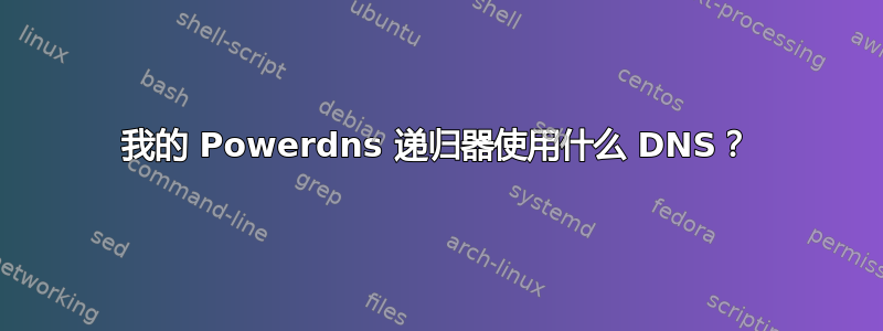 我的 Powerdns 递归器使用什么 DNS？