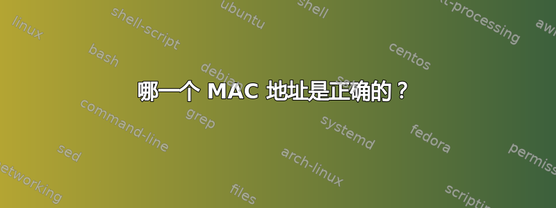 哪一个 MAC 地址是正确的？