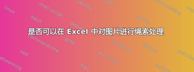 是否可以在 Excel 中对图片进行绳索处理