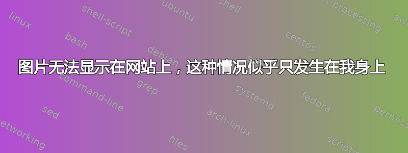 图片无法显示在网站上，这种情况似乎只发生在我身上