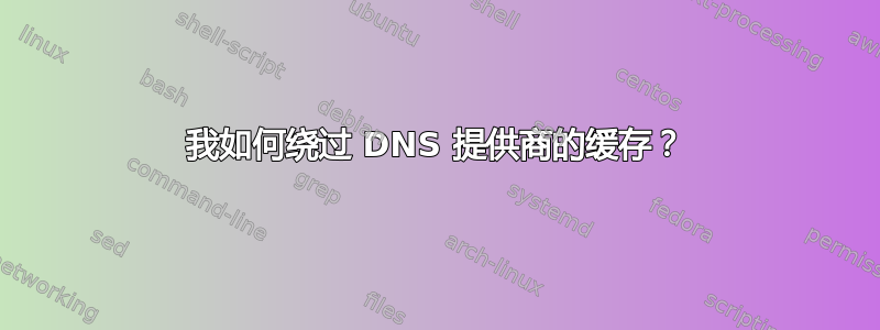 我如何绕过 DNS 提供商的缓存？