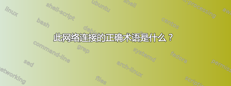 此网络连接的正确术语是什么？