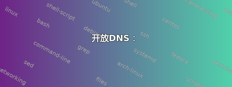 开放DNS：