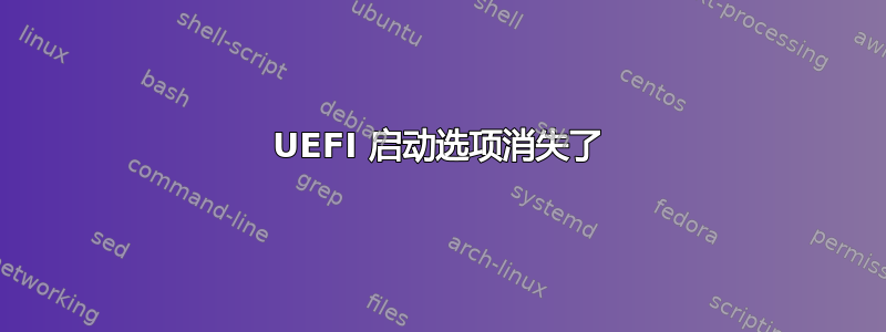 UEFI 启动选项消失了