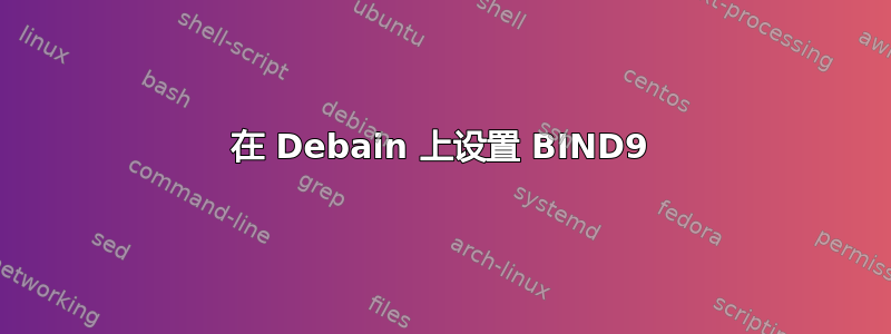 在 Debain 上设置 BIND9