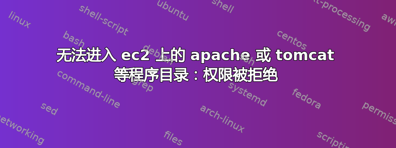 无法进入 ec2 上的 apache 或 tomcat 等程序目录：权限被拒绝