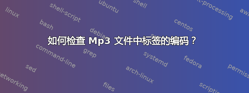 如何检查 Mp3 文件中标签的编码？